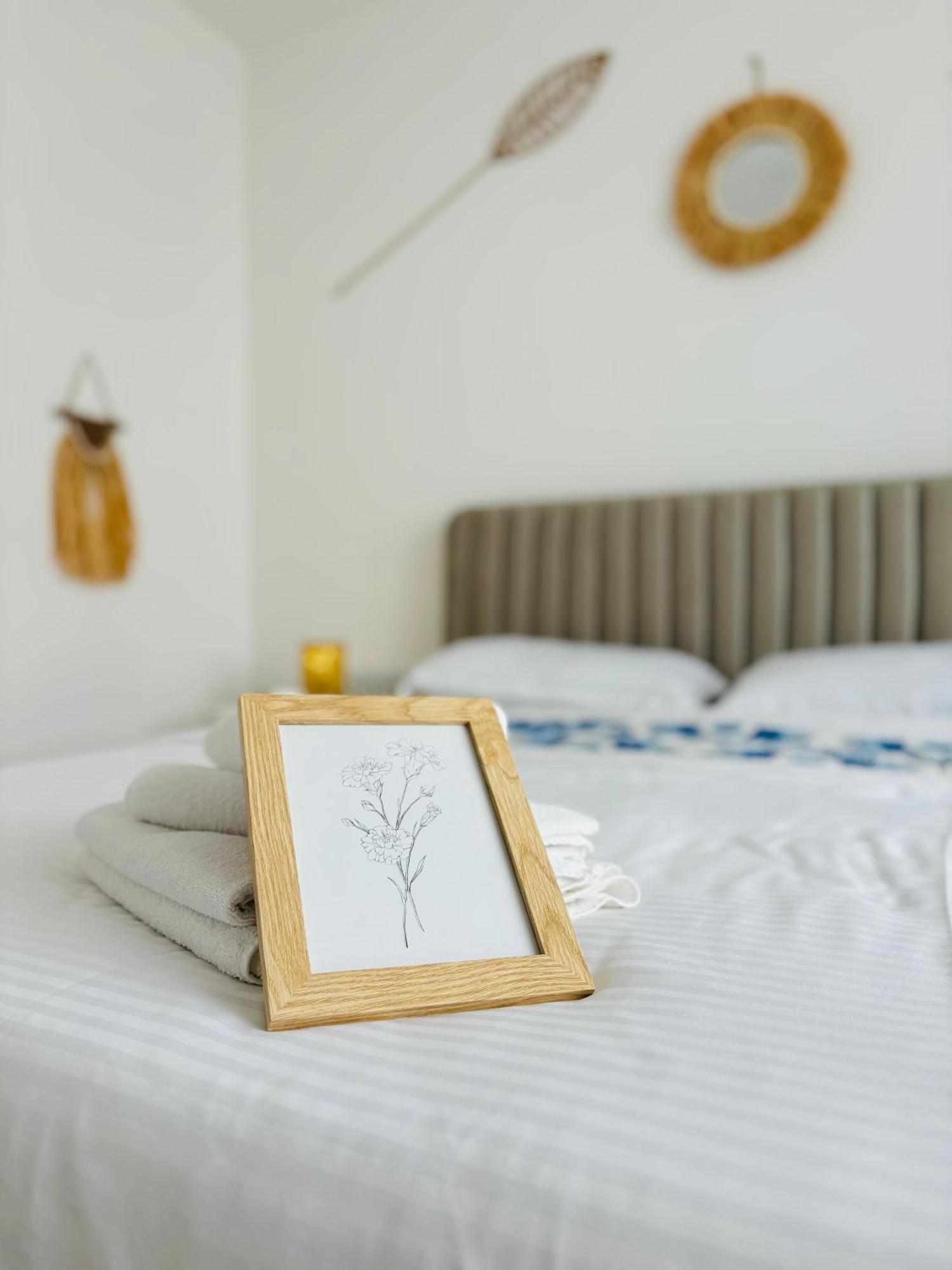 Amos Apartment-Ultracentral-Free Parking Cluj-Napoca Extérieur photo